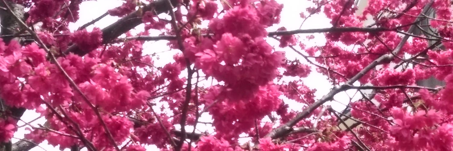 chenchanglai011's profile banner image