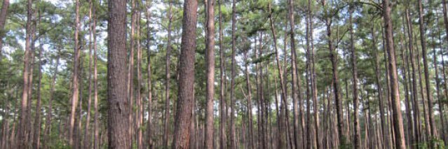 samueljsaxton's profile banner image