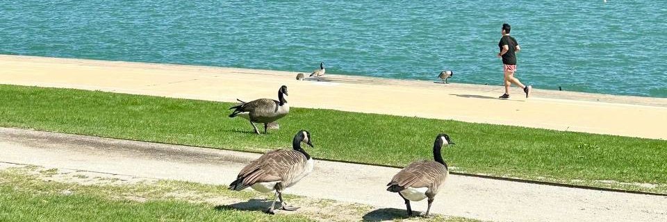 OlgaMichellC's profile banner image
