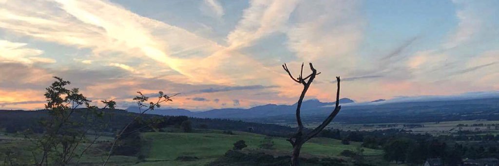 craigcoull's profile banner image