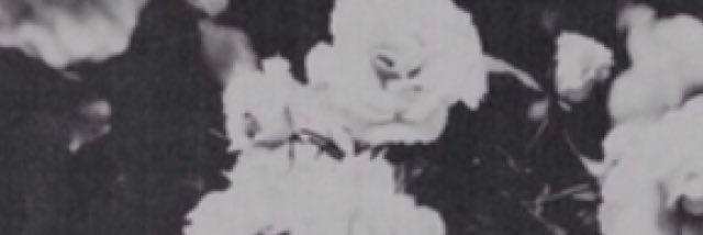 BabyHhhhhh12's profile banner image
