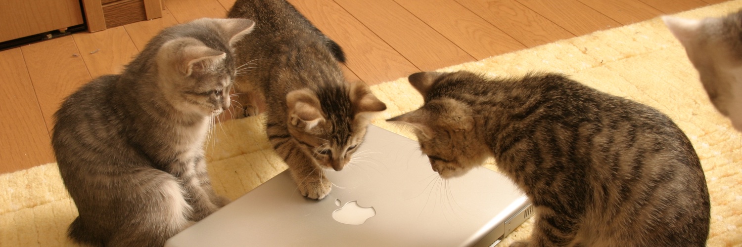 湯島のとも banner