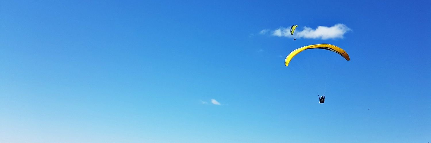 nicolegdl's profile banner image
