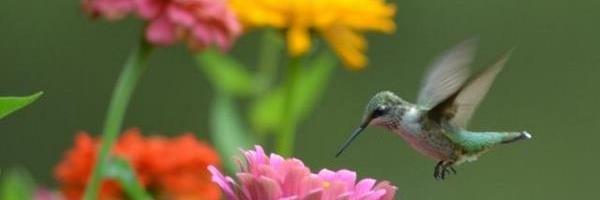 sandramerchans's profile banner image