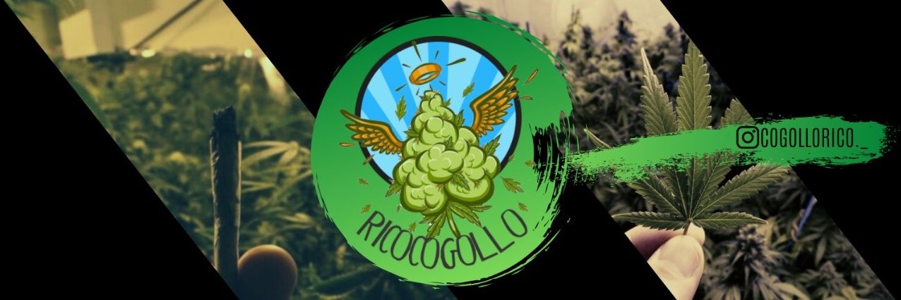 RicoCogollo banner