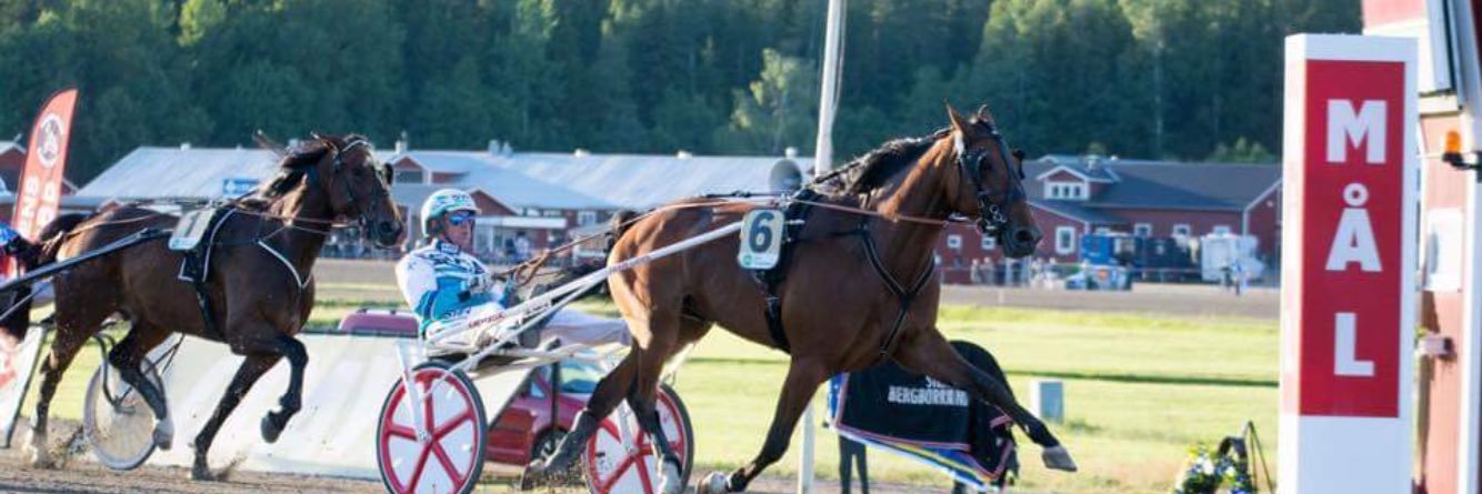 mattias karlsson banner