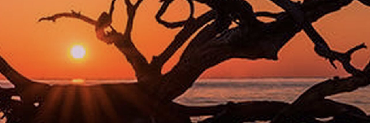 SplicketyLit 🇺🇸 banner