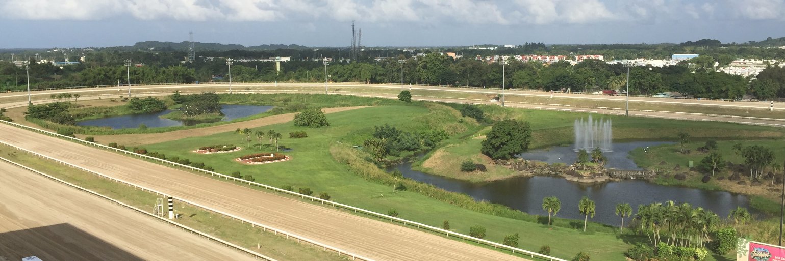 prhipismo's profile banner image