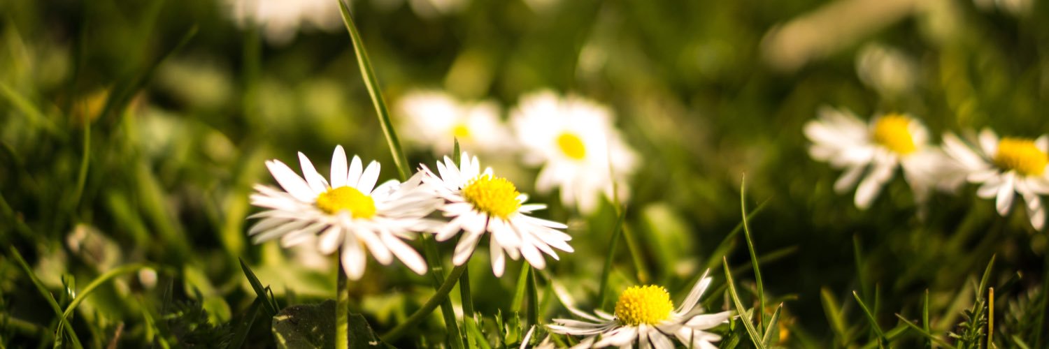 GoNatuur's profile banner image