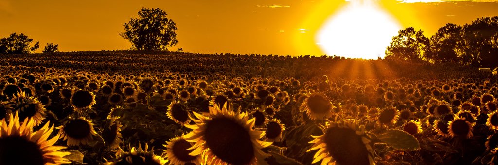 awilwert's profile banner image