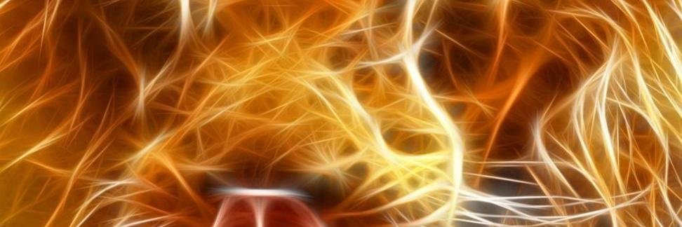 Qogir's profile banner image