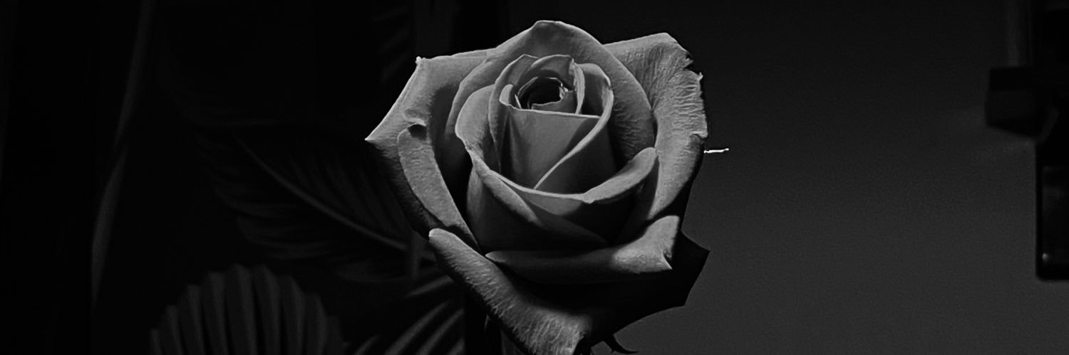 devilqueen_0's profile banner image