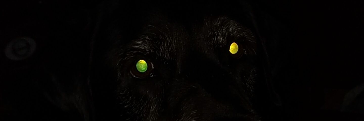 drice9399's profile banner image