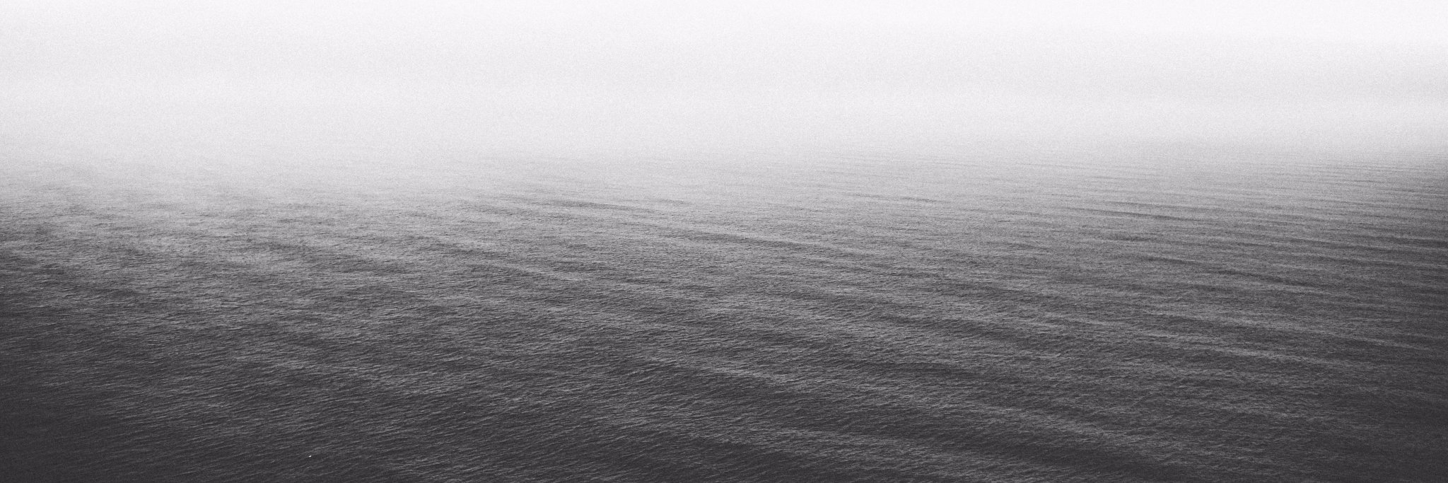 sylviaxanthos's profile banner image