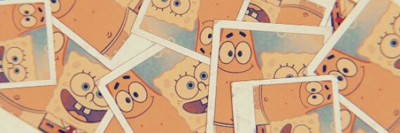 amanda plz banner