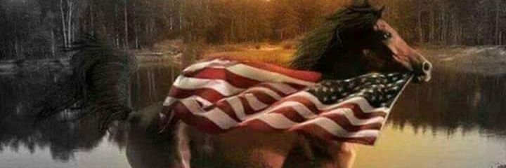 jdsanders18's profile banner image