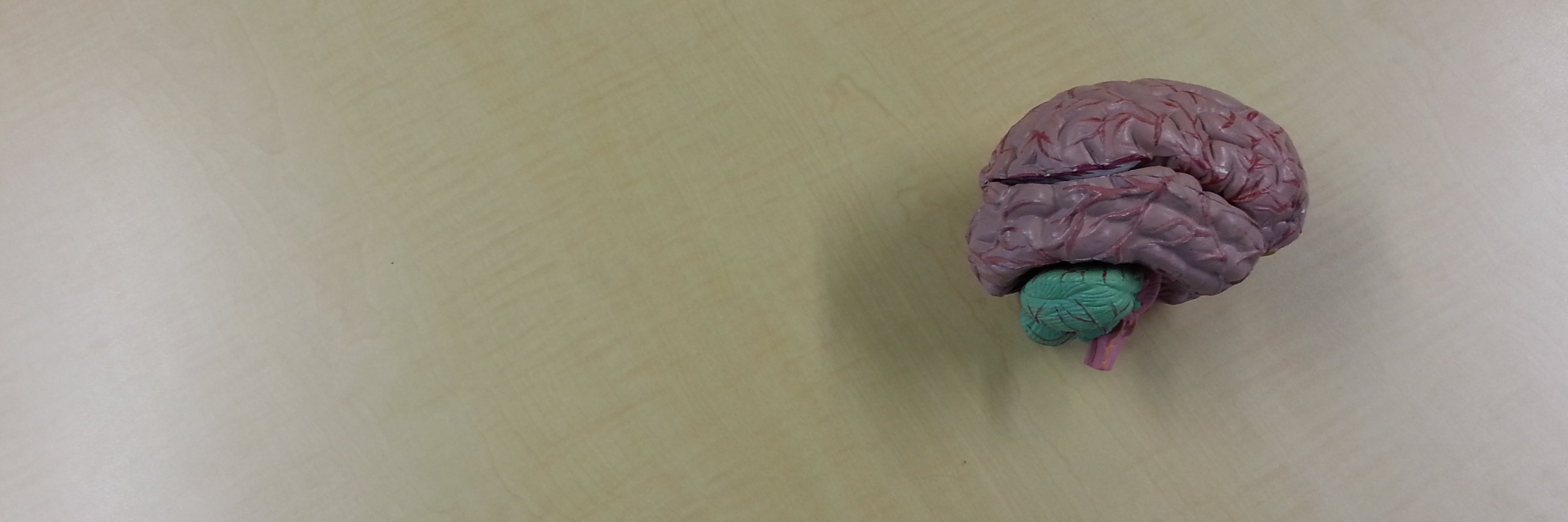 Alice Theadom banner