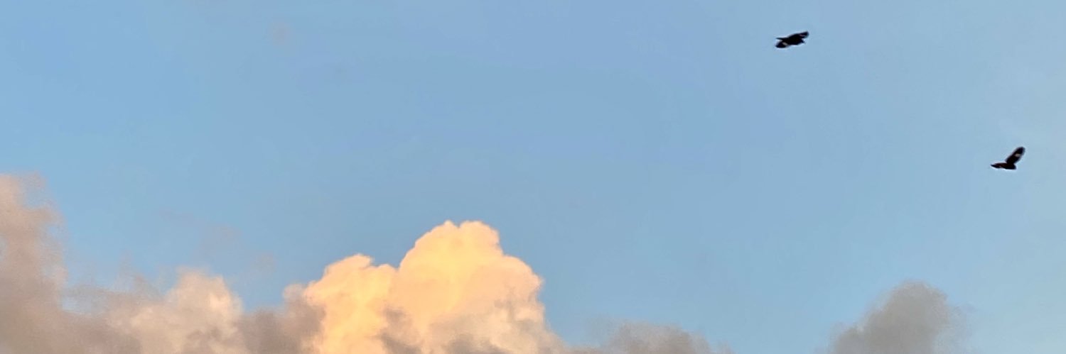 Skyf banner