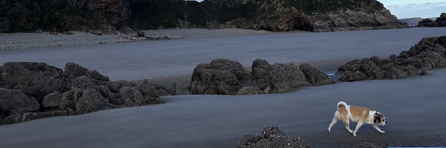 sophiereess's profile banner image