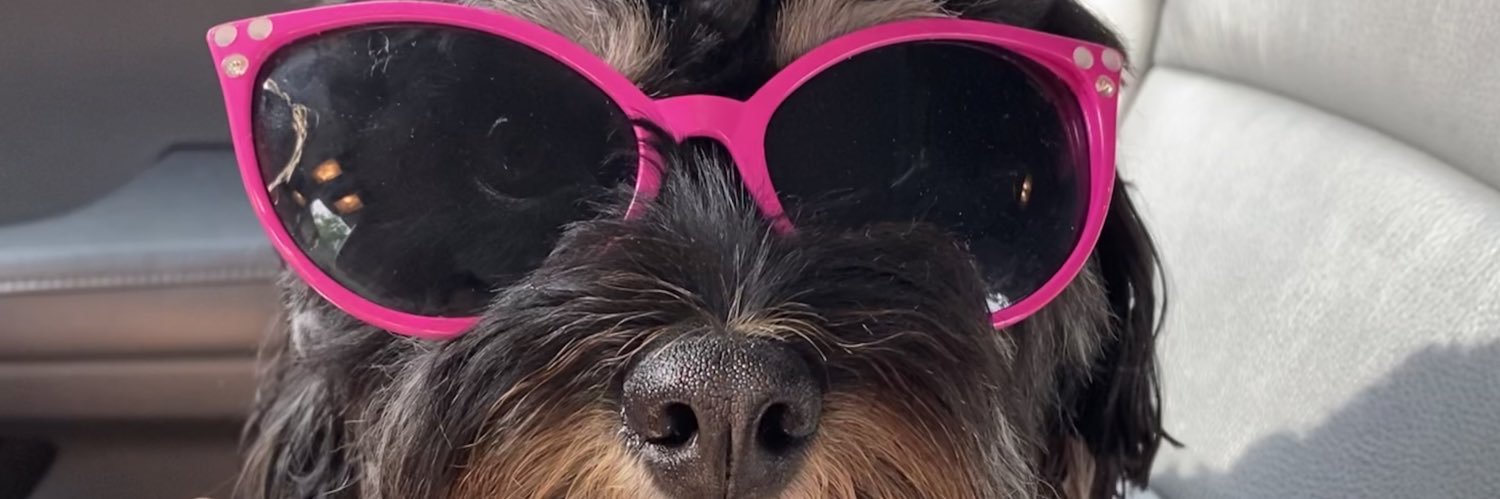 rosecgreen's profile banner image