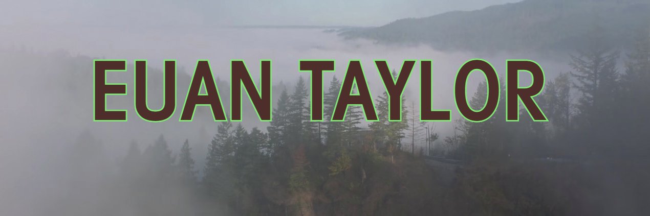 Euan Taylor banner