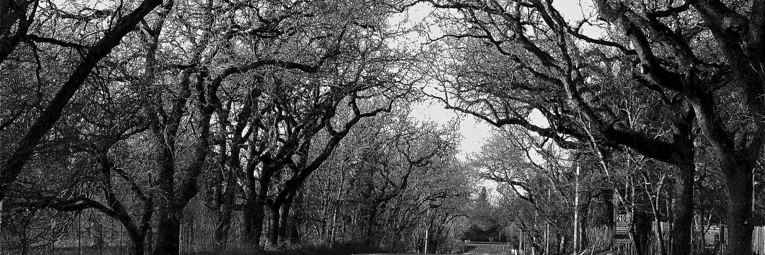 HannahPorter11's profile banner image