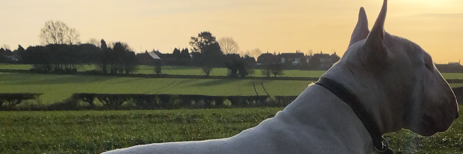 JacobBarker91's profile banner image