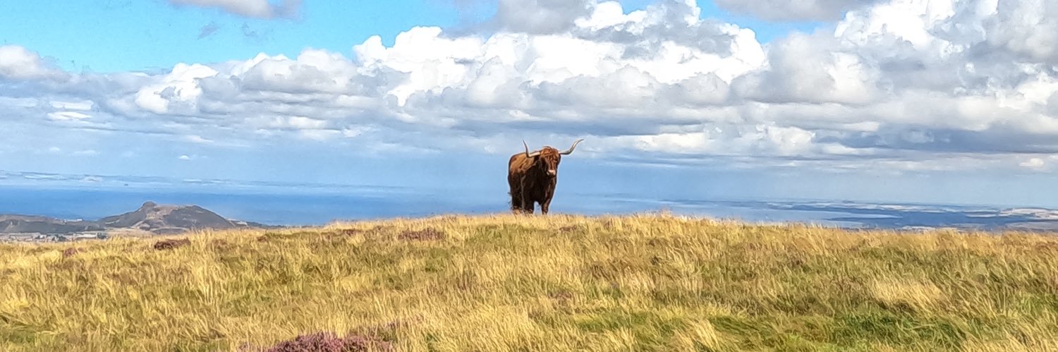 Marco Emanuele banner