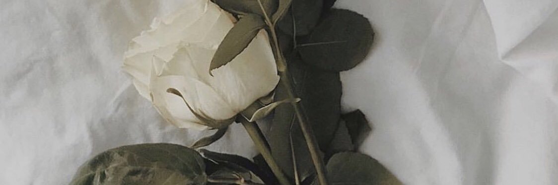 810____ytrn's profile banner image
