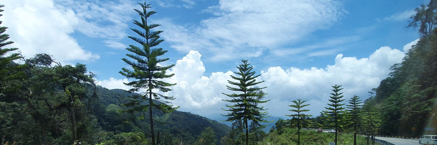 Shaoen's profile banner image