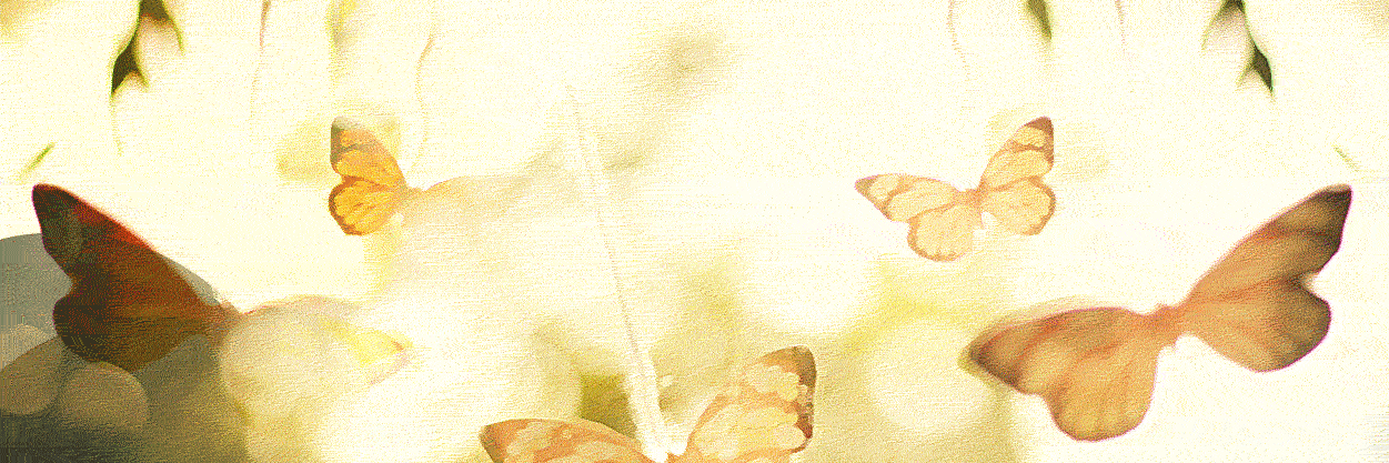 hashina's profile banner image