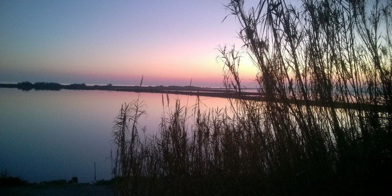 Dominique Goubatian banner