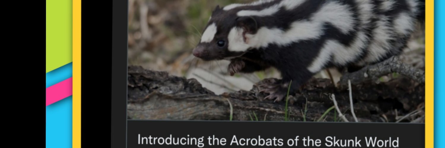 quality_pig's profile banner image