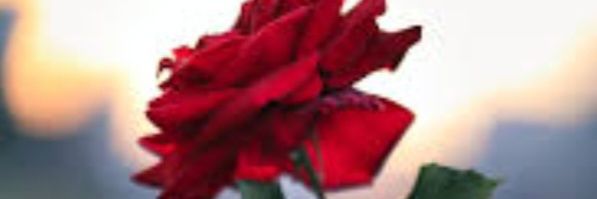 Mads_101's profile banner image