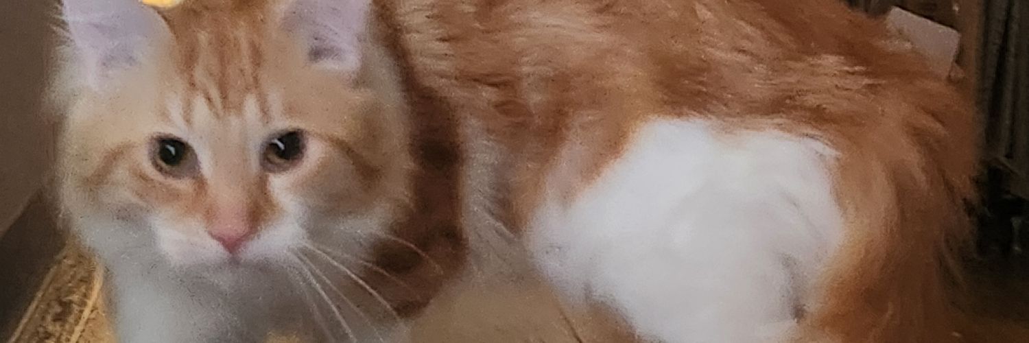 SSeiichiro's profile banner image