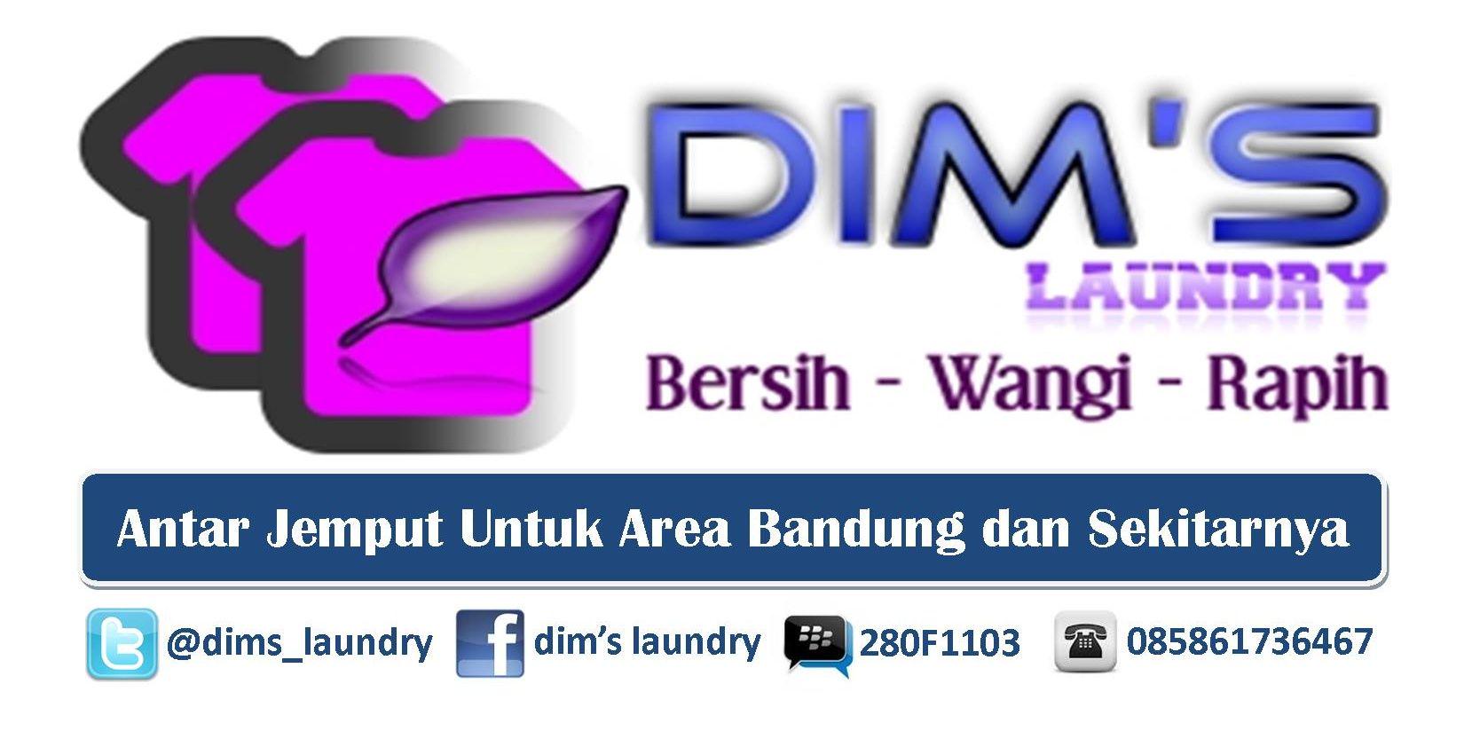 dims_laundry banner