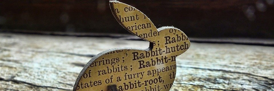 Haley_M_Miller's profile banner image