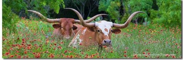 ExpertPE Profile Banner