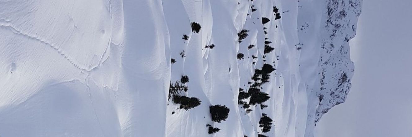 michaellemoine1's profile banner image