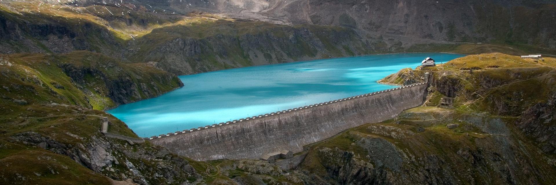 Anthony Naples banner