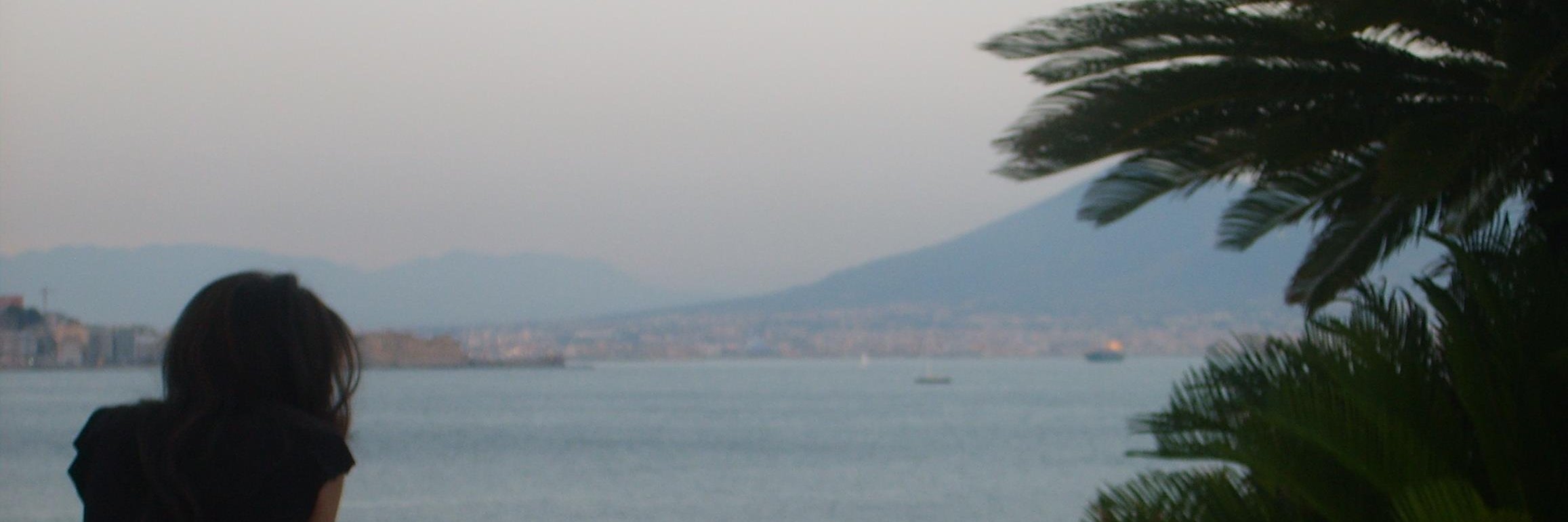 VyDeluca's profile banner image