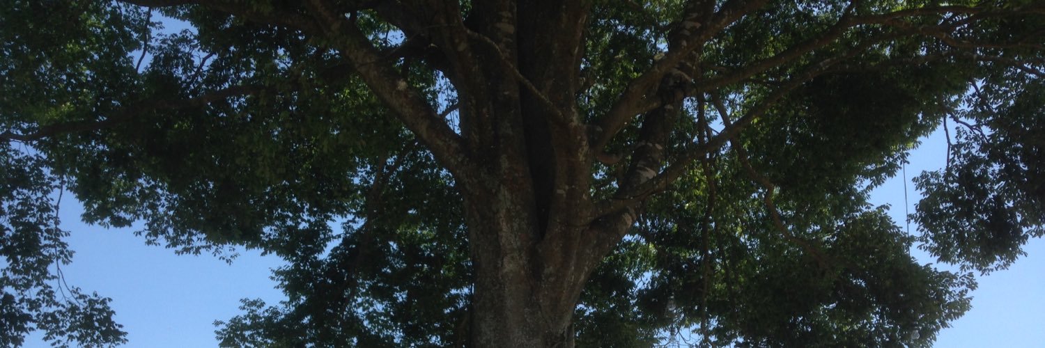 PFA2011's profile banner image