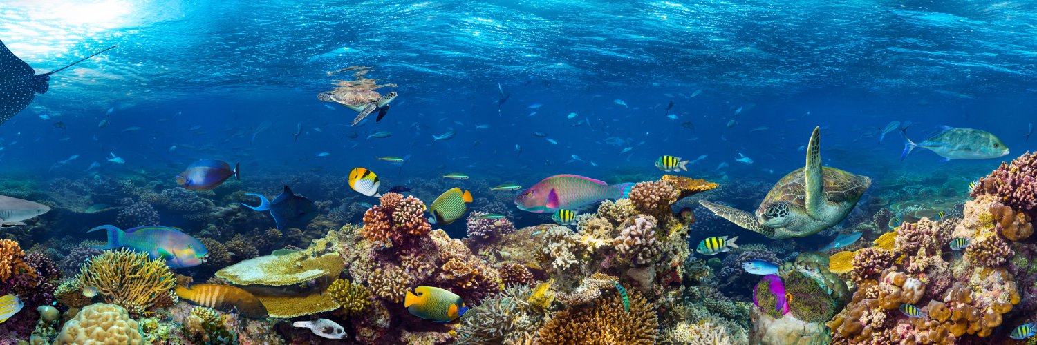 Anabel Gutiérrez banner