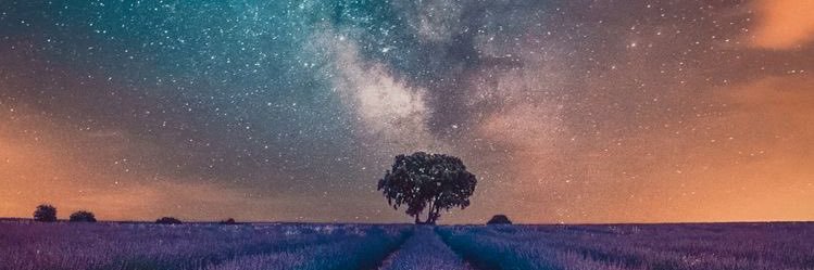 _seokshua's profile banner image