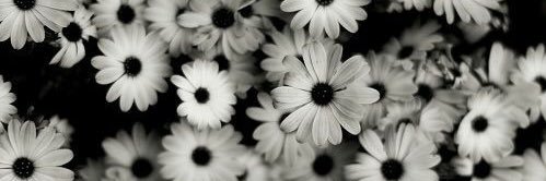 Jujudit_'s profile banner image