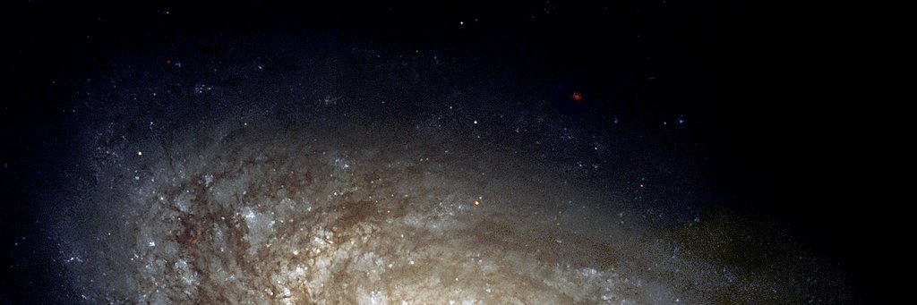 haihaeppchen's profile banner image