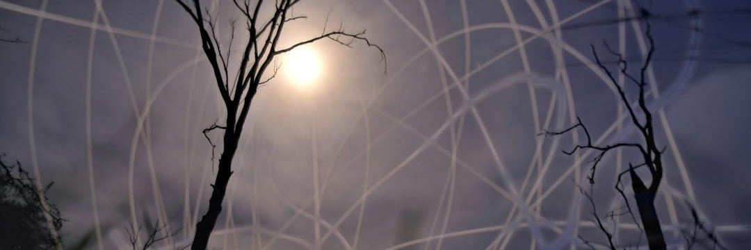 davidiorlano's profile banner image