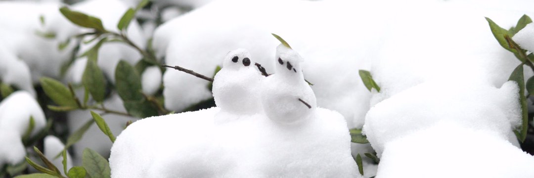 pepe9626's profile banner image