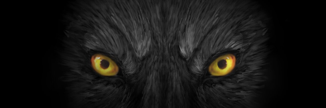 AndyCarleton1's profile banner image