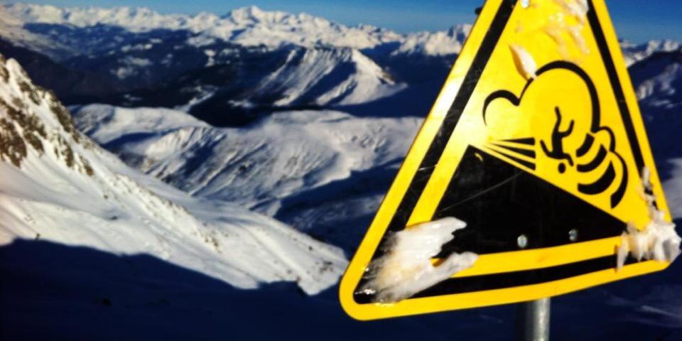 voyelle acker banner